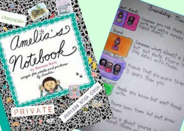 All About Amelia’s Notebook! Review, Resources and Activities #youngreaders #mosswoodconnections #booklessons #homeschooling #literacy #reluctantreaders #Ameliasnotebook
