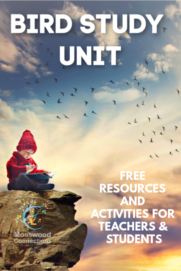 BIRD STUDY UNIT FREE RESOURCES AND ACTIVITIES FOR ELEMENTARY AGE STUDENTS #mosswoodconnections Bird Study Unit; Free Resources and Activities for Elementary Age Students #mosswoodconnections #science #animalscience #education #homeschooling #birdstudyunit