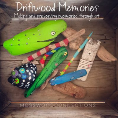 Driftwood Memories - Mosswood Connections
