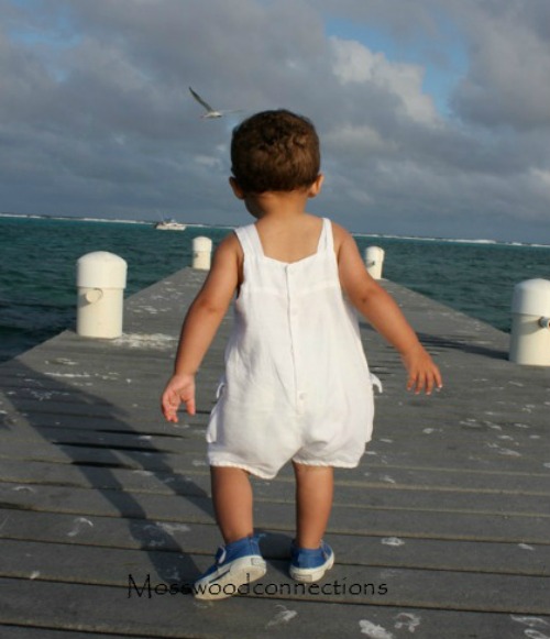 Flight of the Six Year Old Toddler The Flight of a Six Year Old: Developmental Milestones of a Six Year Old #mosswoodconnections #childdevelopment #parenting #milestones