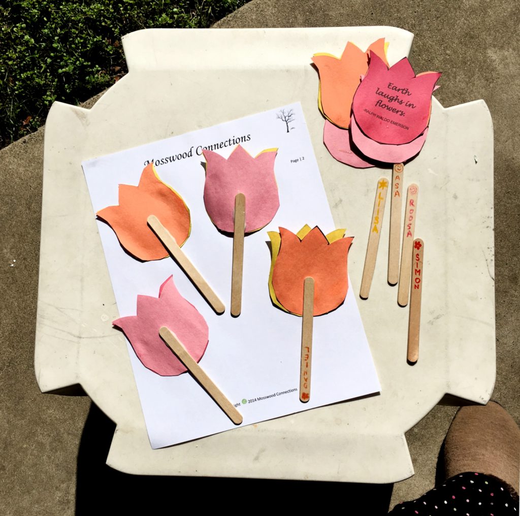 Flower Seed Packet Craft & DIY Gift Mosswood Connections