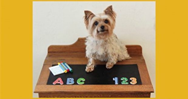 Lola Goes to School Picture Book Activities About Going to School #mosswoodconnections #picturebooks #bookextensionactivities #GoingtotheDoctor #LolatheTherapyDog
