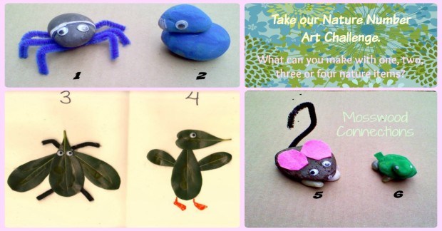 Shell-Critter Craft Project #mosswoodconnections