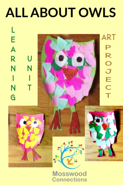 Owl Learning Unit And Art Project 433x650 