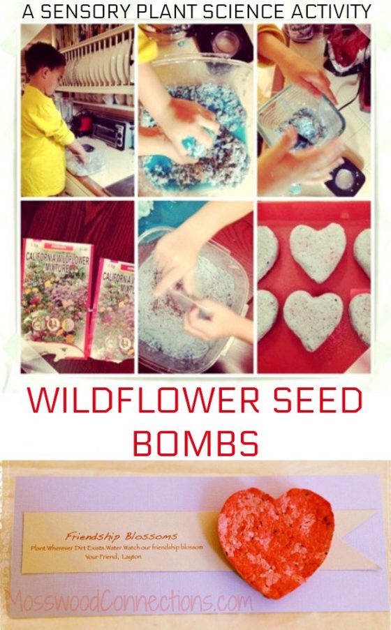 Wildflower Seed Bombs Mosswood Connections