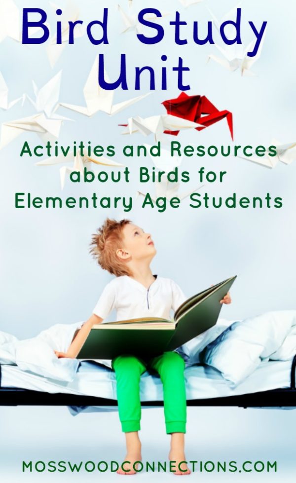 Bird Study Unit Activities and Resources for Elementary Age Students Bird Study Unit; Free Resources and Activities for Elementary Age Students #mosswoodconnections #science #animalscience #education #homeschooling #birdstudyunit