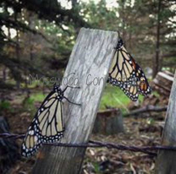 Butterflies Monarchs Creating a Butterfly Garden #mosswoodconnections #science #butterfly #studyunit #education #homeschool