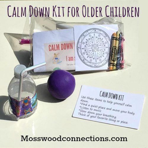 Calm Down Kit for Older Children Help children learn how to self-regulate their emotions #mosswoodconnections #sensory #autism #SPD 
