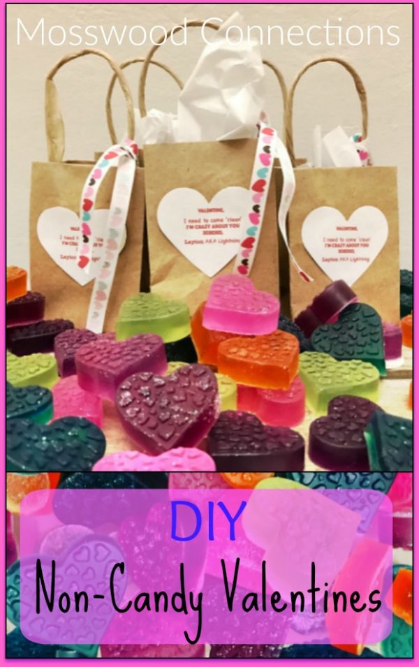 DIY Non-Candy Valentines Clever Valentines the Whole Family Will Enjoy #mosswoodconnections #Valentines #crafts #non-candyvalentine #holidays