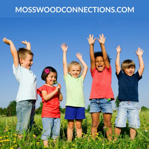 Do As I Say, Not As I Do: A Following Directions Game #mosswoodconnections #auditoryprocessing #activelearning #listeningskills #followingdirections