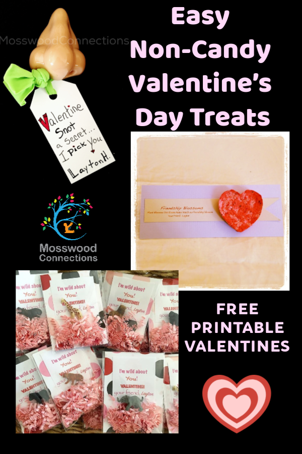 Easy Non-Candy Valentine’s Day Treats #mosswoodconnections #noncandyvalentines #valentines Easy Non-Candy Valentine’s Day Treats #mosswoodconnections #Valentines #crafts #non-candyvalentine #holidays #humor