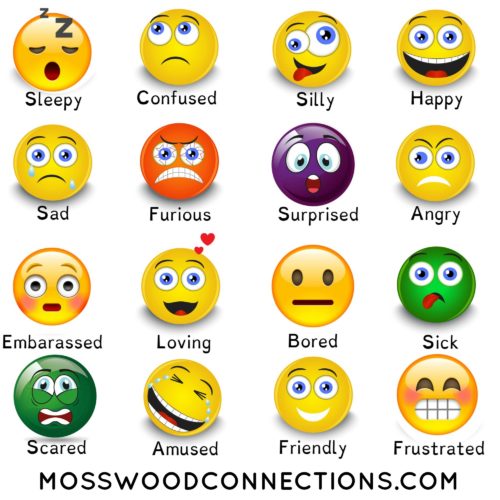 Feelings and Emotions Scavenger Hunt Feelings and Emotions Scavenger Hunt: A Social Skills Activity #mosswoodconnections #autism #socialskills #feelings #scavengerhunt #printablegame