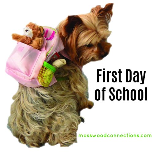 Lola Goes to School: Picture Book Activities About Going to School #picturebooks #backtoschool #mosswoodconnections #literacy 