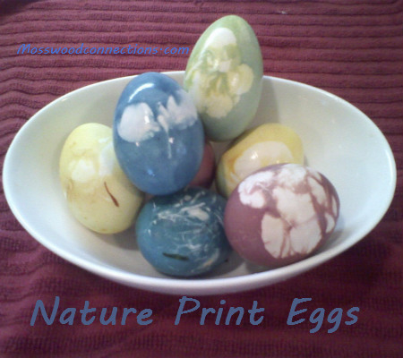 Nature Print Eggs Decorate Nature Print Eggs with Natural Food Dye #decoratingeggs #holidays #mosswoodconnections