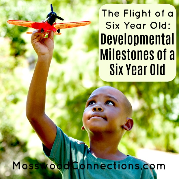 The Flight of a Six Year Old: Developmental Milestones of a Six Year Old The Flight of a Six Year Old: Developmental Milestones of a Six Year Old #mosswoodconnections #childdevelopment #parenting #milestones