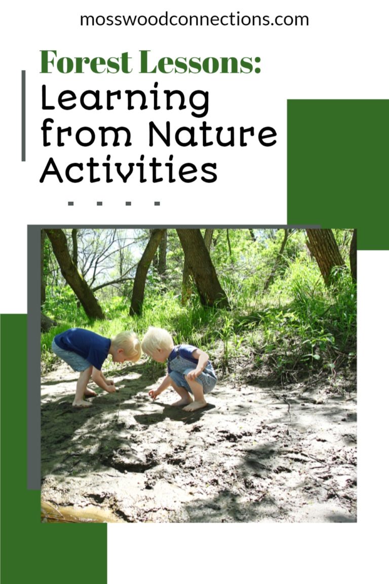 Forest Lessons_ Learning from Bird Nature Activities #mosswoodconnections #naturescience #forestschool #outdoorlearningactivities #educational #forestactivities Forest Lessons_ Learning from Nature Activities Sit Spot #mosswoodconnections #natureactivities #naturescience #forestschool #outdoorlearningactivities #educational #forestactivities