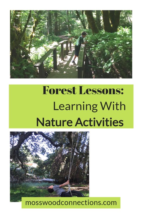 Forest Lessons_ Learning from Bird Nature Activities #mosswoodconnections #naturescience #forestschool #outdoorlearningactivities #educational #forestactivities