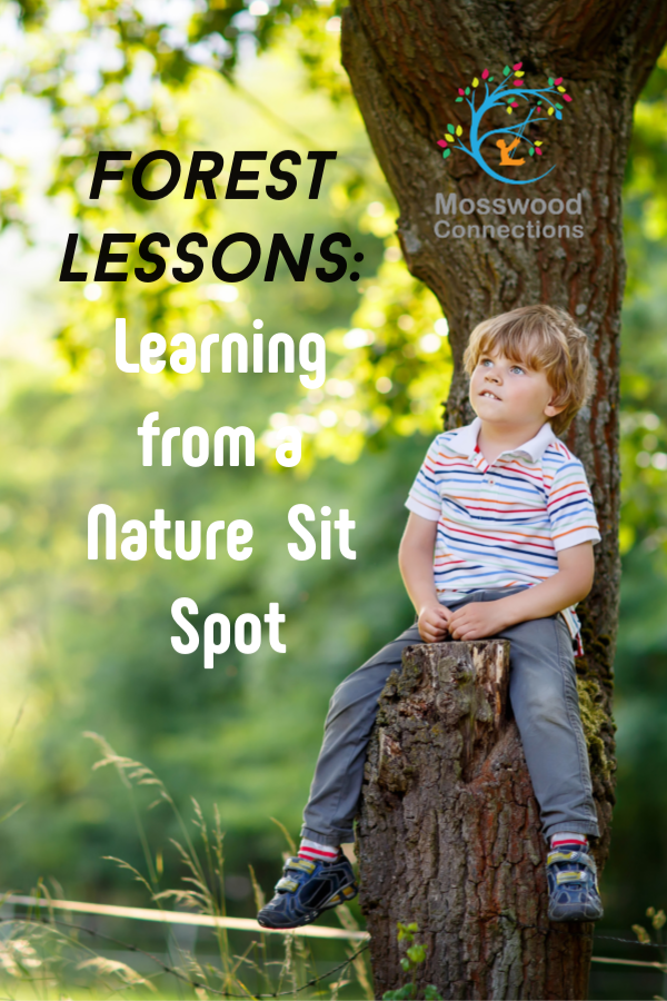 Forest Lessons_ Learning from Bird Nature Activities #mosswoodconnections #naturescience #forestschool #outdoorlearningactivities #educational #forestactivities Forest Lessons_ Learning from Nature Activities Sit Spot #mosswoodconnections #natureactivities #naturescience #forestschool #outdoorlearningactivities #educational #forestactivities