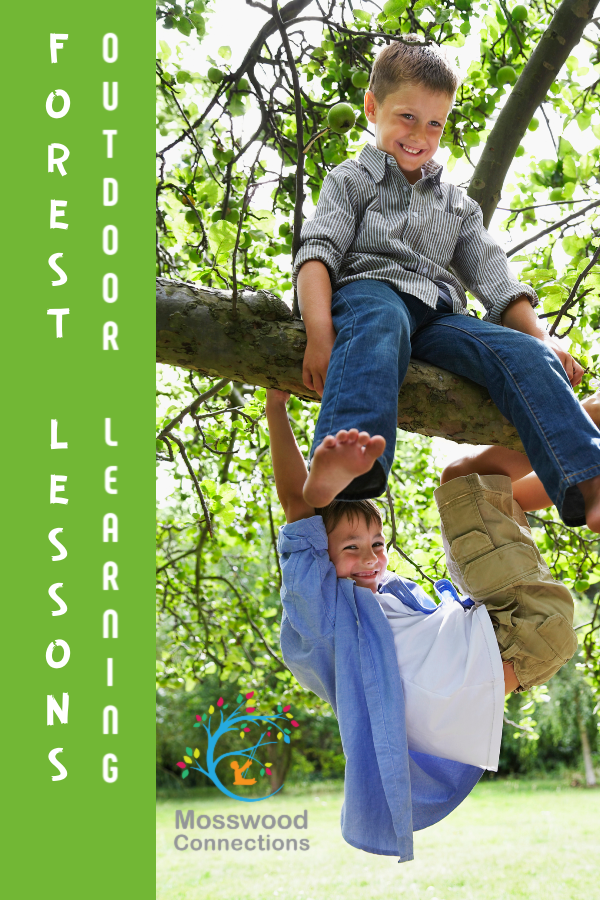 Forest Lessons_ Learning from Bird Nature Activities #mosswoodconnections #naturescience #forestschool #outdoorlearningactivities #educational #forestactivities Forest Lessons_ Learning from Bird Nature Activities #mosswoodconnections #naturescience #forestschool #outdoorlearningactivities #educational #forestactivities