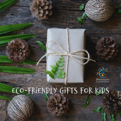 Eco-Friendly Gifts Guide for Kids #mosswoodconnections #giftguide #kids #ecofriendly #environmentallyfriendly #sustainableliving